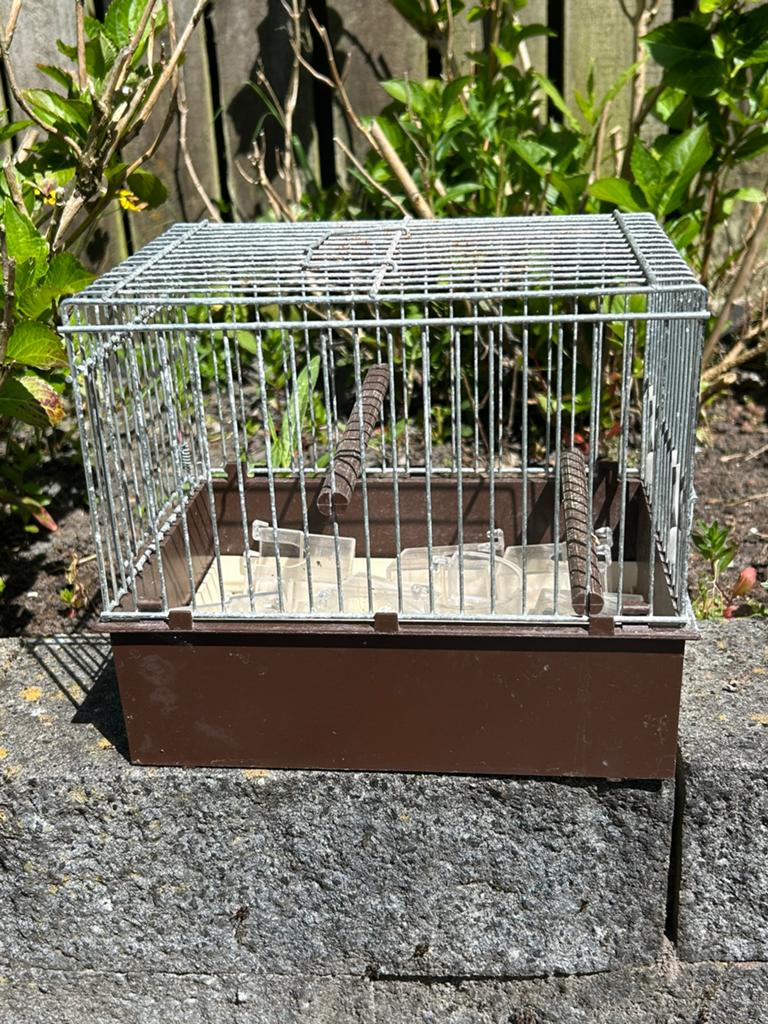Transport kooitjes vogel, Dieren en Toebehoren, Ophalen of Verzenden, Zo goed als nieuw, Hout, Vogelkooi