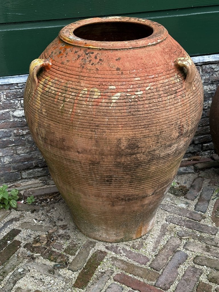 Antieke Franse Terracotta Olijfpot Grote Maat, Ophalen, Gebruikt