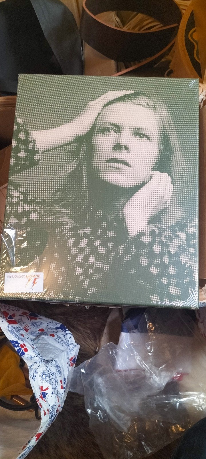 orgineel David Bowie box, Ophalen of Verzenden, Nieuw, Cd of Plaat