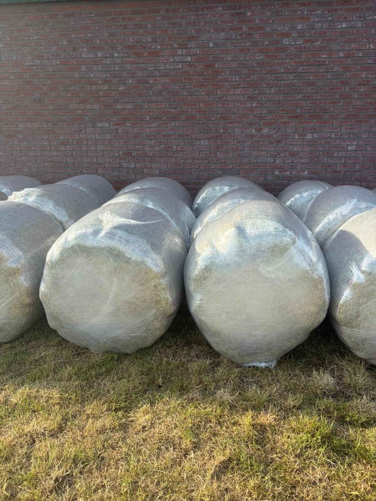 Midi hooibalen, Dieren en Toebehoren, Dierenvoeding, Ophalen of Verzenden