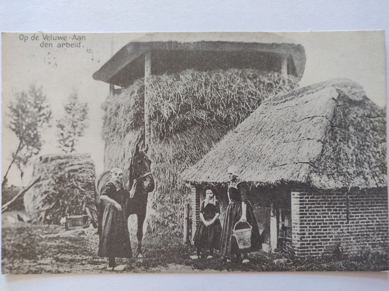 A310 Veluwe, Ophalen of Verzenden, 1920 tot 1940, Gelderland