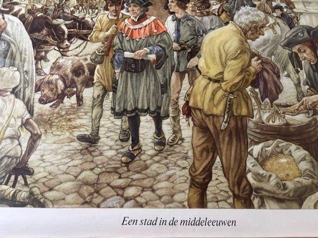 Oude schoolplaat - 'een stad in de middeleeuwen', Ophalen, Natuur en Biologie