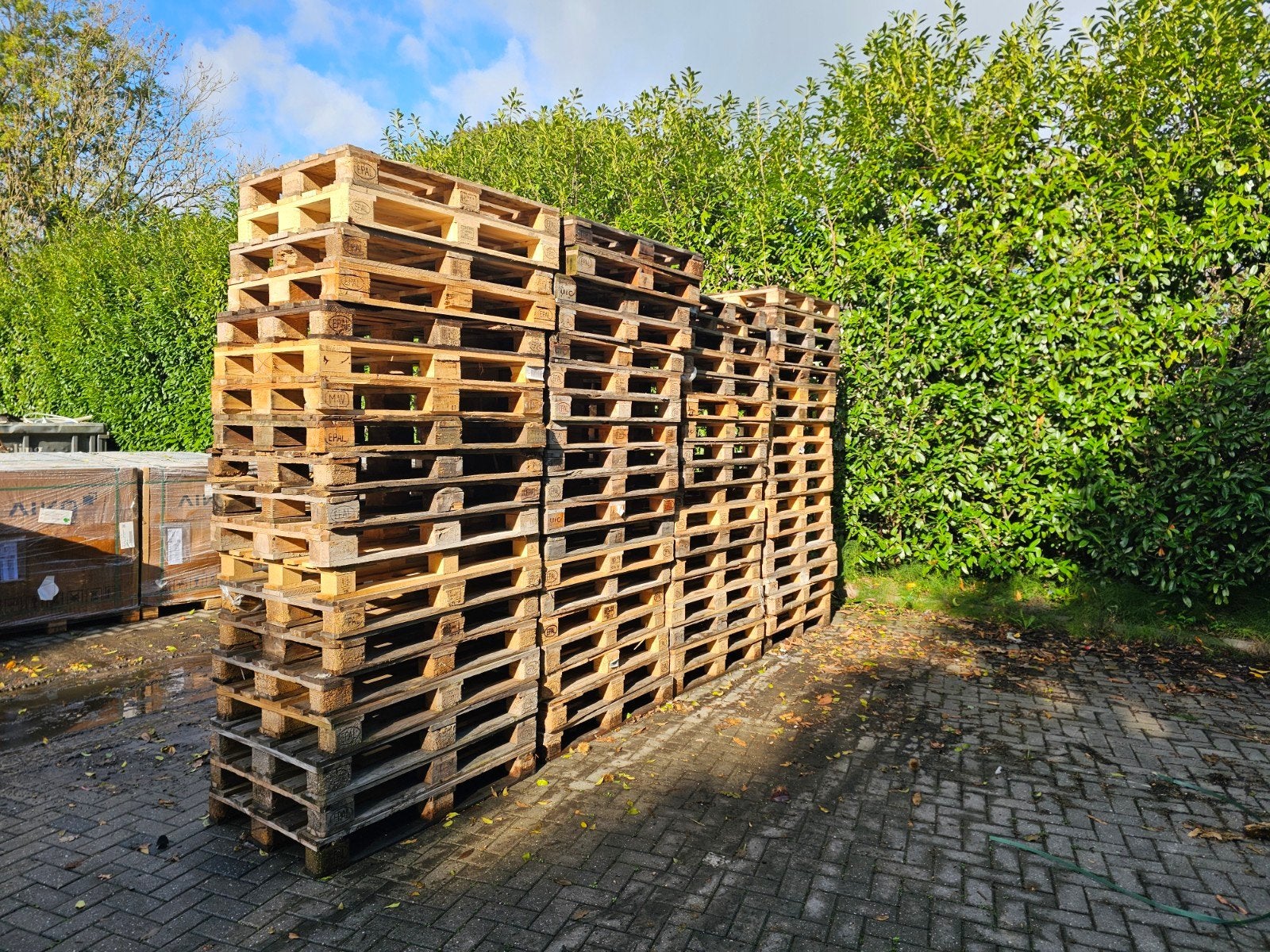 Euro pallets, grote partij, Ophalen, Zo goed als nieuw, 50 mm of meer, Overige houtsoorten
