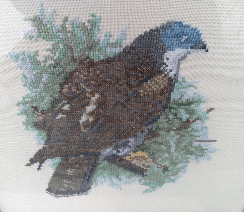 Hand geborduurd schilderij vogel achter glas 32 x 34 cm, Ophalen of Verzenden, Zo goed als nieuw, Handborduren, Overige typen