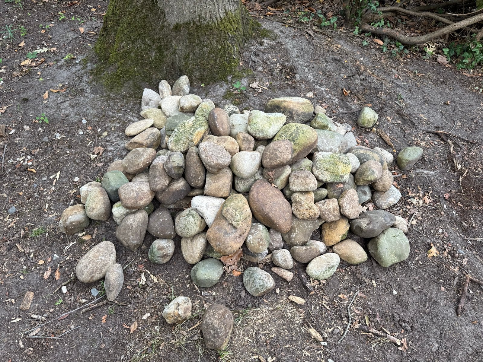 Natuurlijke rivierkeien voor tuin of decoratie, Tuin en Terras, Ophalen, Overige materialen, Gebruikt, Kei