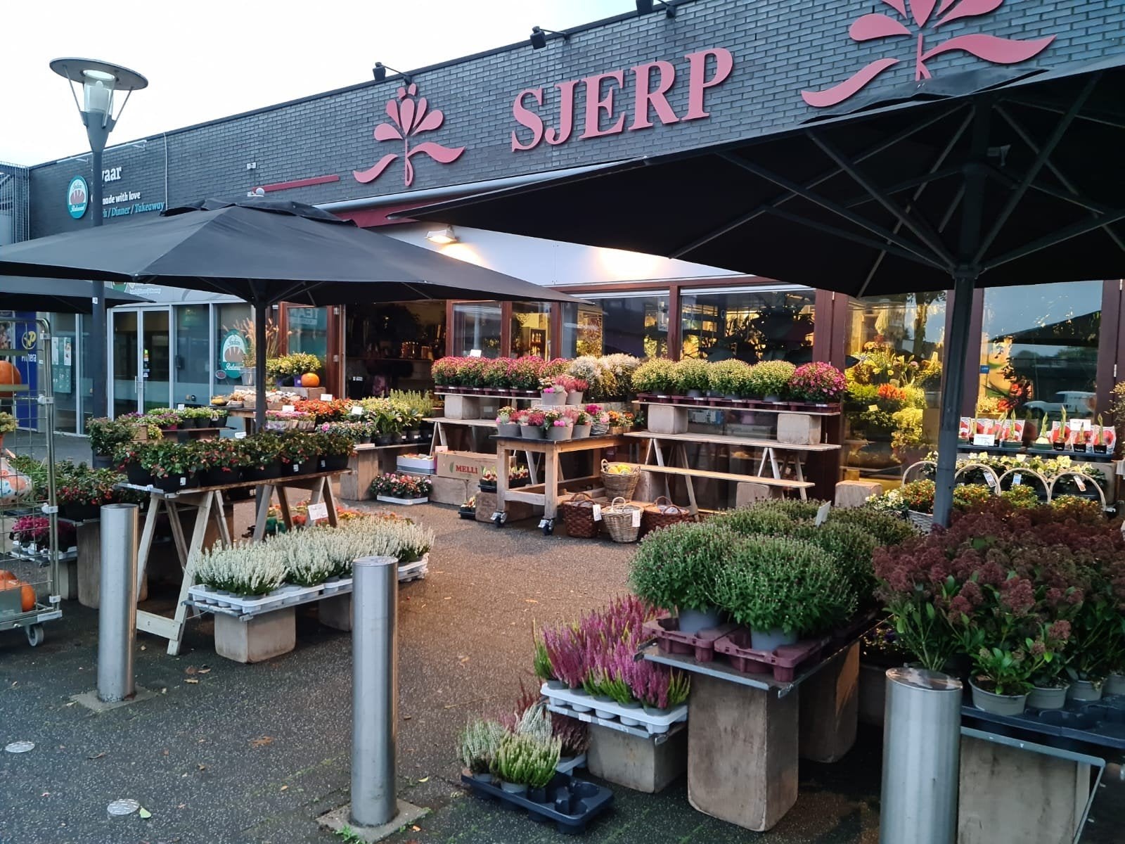 bloemenzaak eindhoven