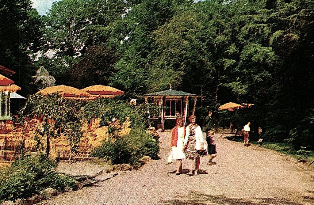 968162	Emmen	Jr 60 Drenthe	Noorderdierenpark	Dierentuin Zoo, Ophalen of Verzenden, 1960 tot 1980, Gelopen, Drenthe