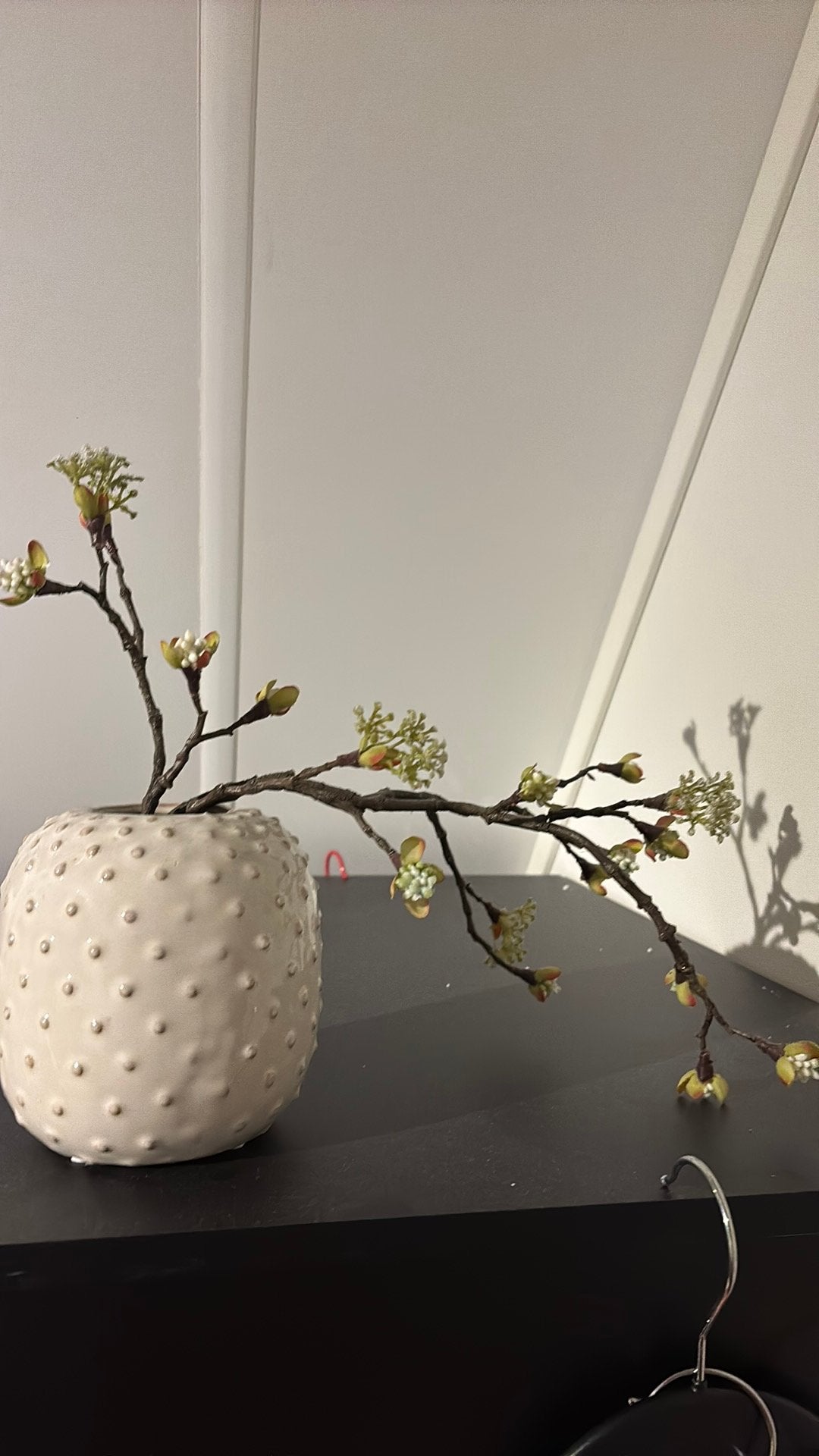 Bloempot zonder tak (is verkocht), Ophalen of Verzenden, Zo goed als nieuw