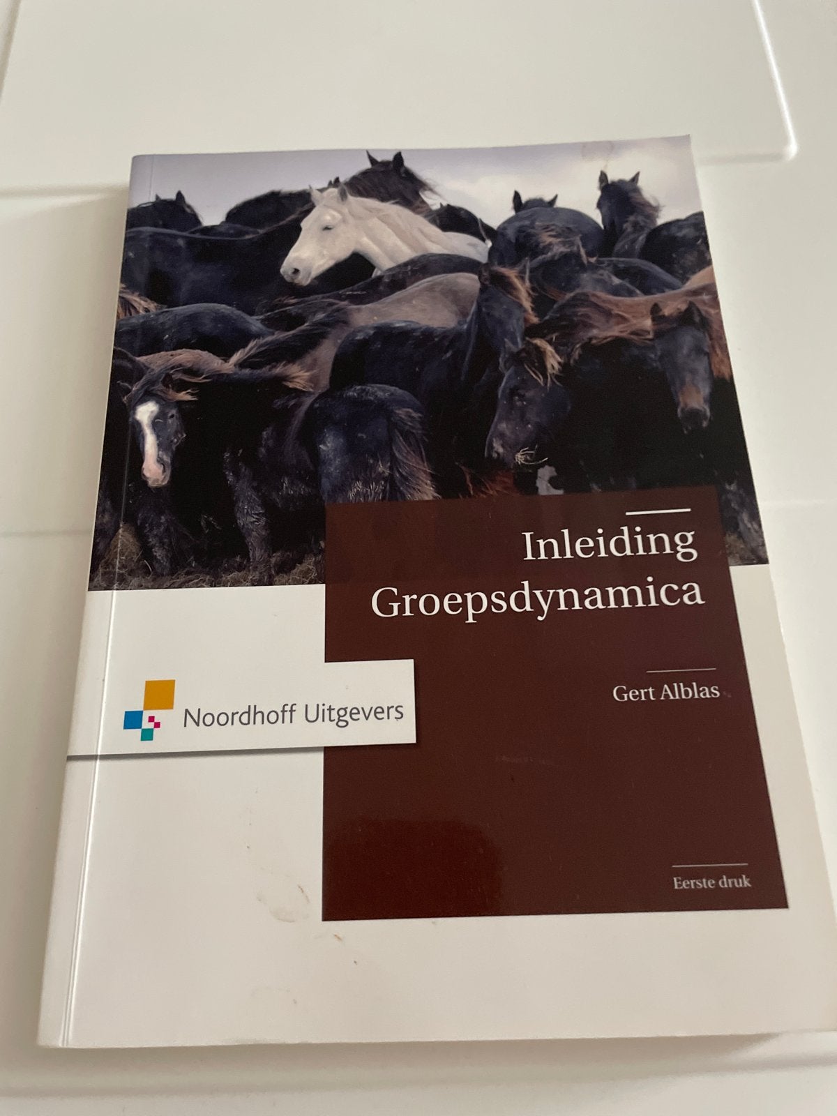 Inleiding Groepsdynamica - Gert Alblas (Noordhoff), Boeken, Studieboeken en Cursussen, Ophalen of Verzenden, Gamma, Zo goed als nieuw