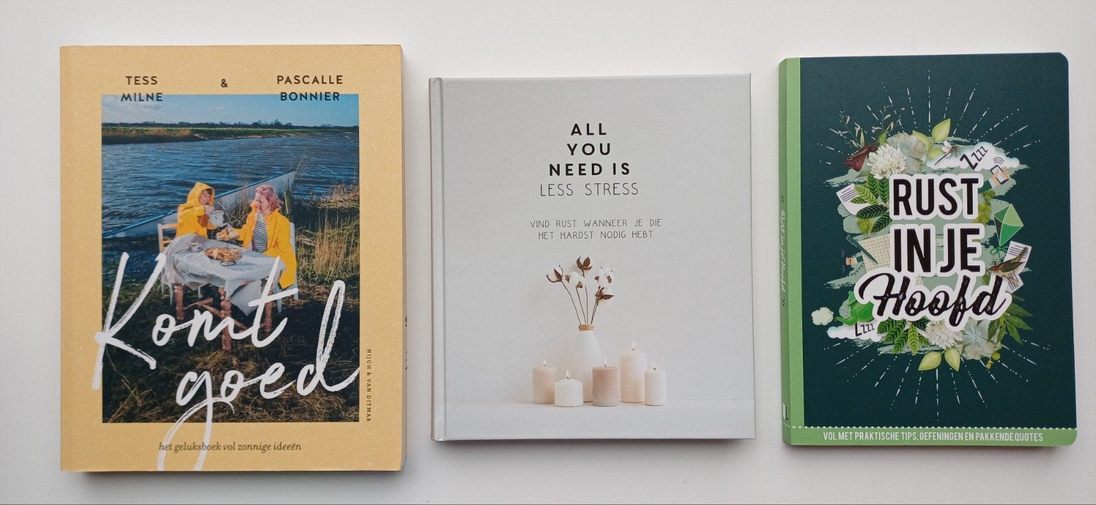 Komt goed Rust in je hoofd All you need is less stress, Overige typen, Ophalen of Verzenden, Zo goed als nieuw, O.a. Tess Milne en Pascalle Bonnier