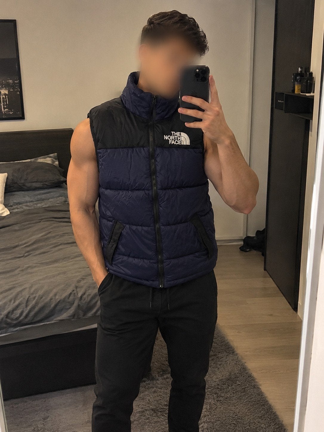 The Northface Bodywarmer (Topstaat) ideaal 4 Seizoen, Ophalen of Verzenden, Maat 52/54 (L), Zwart