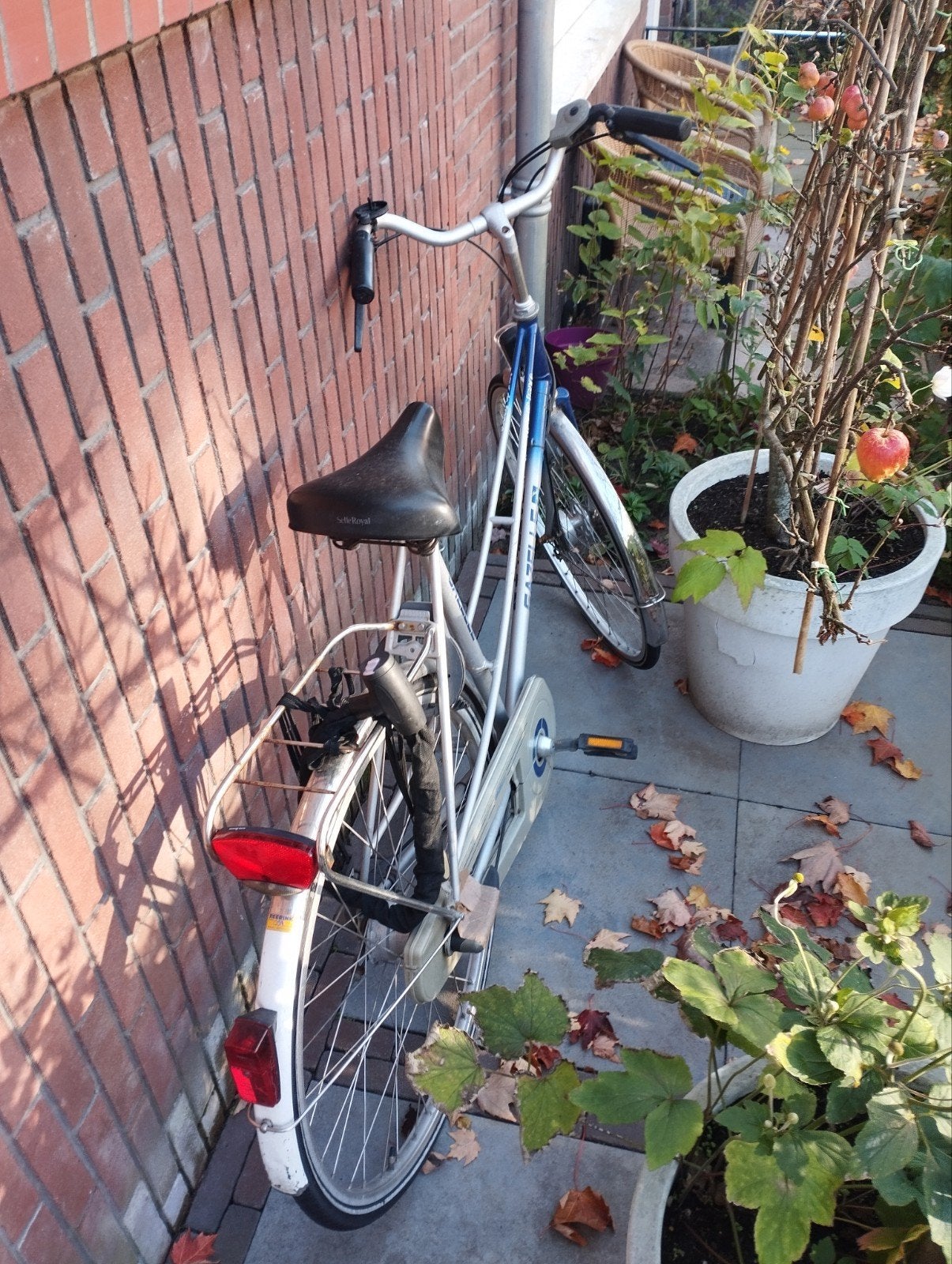 damesfiets gazelle, Ophalen, Gebruikt, Gazelle