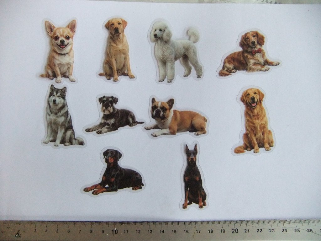 10 polypropyleen hondenstickers set 1, Verzenden