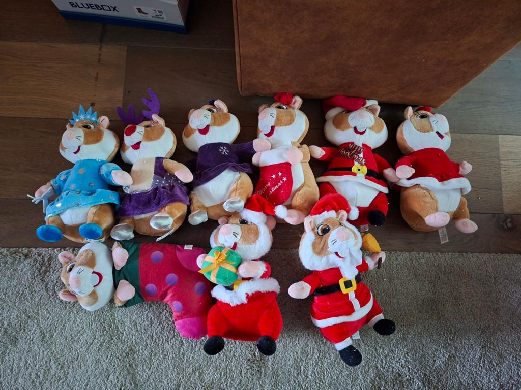 9 ah hamsters, Ophalen of Verzenden, Zo goed als nieuw, Overige typen