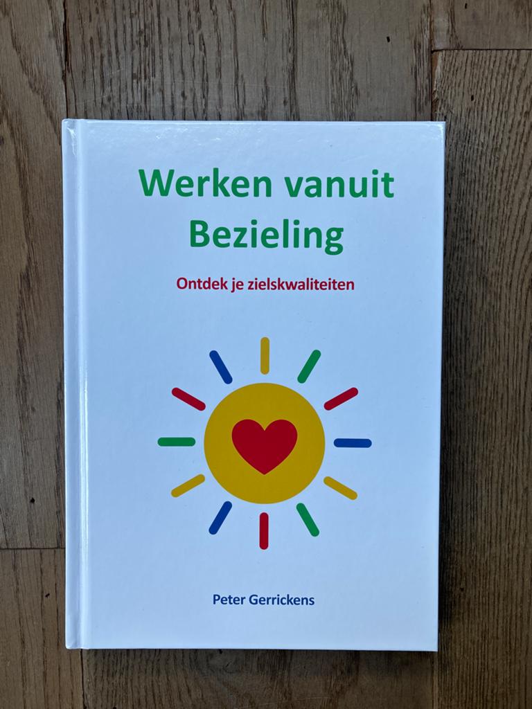 Werken vanuit Bezieling: Ontdek je zielskwaliteiten, Ophalen of Verzenden, Zo goed als nieuw