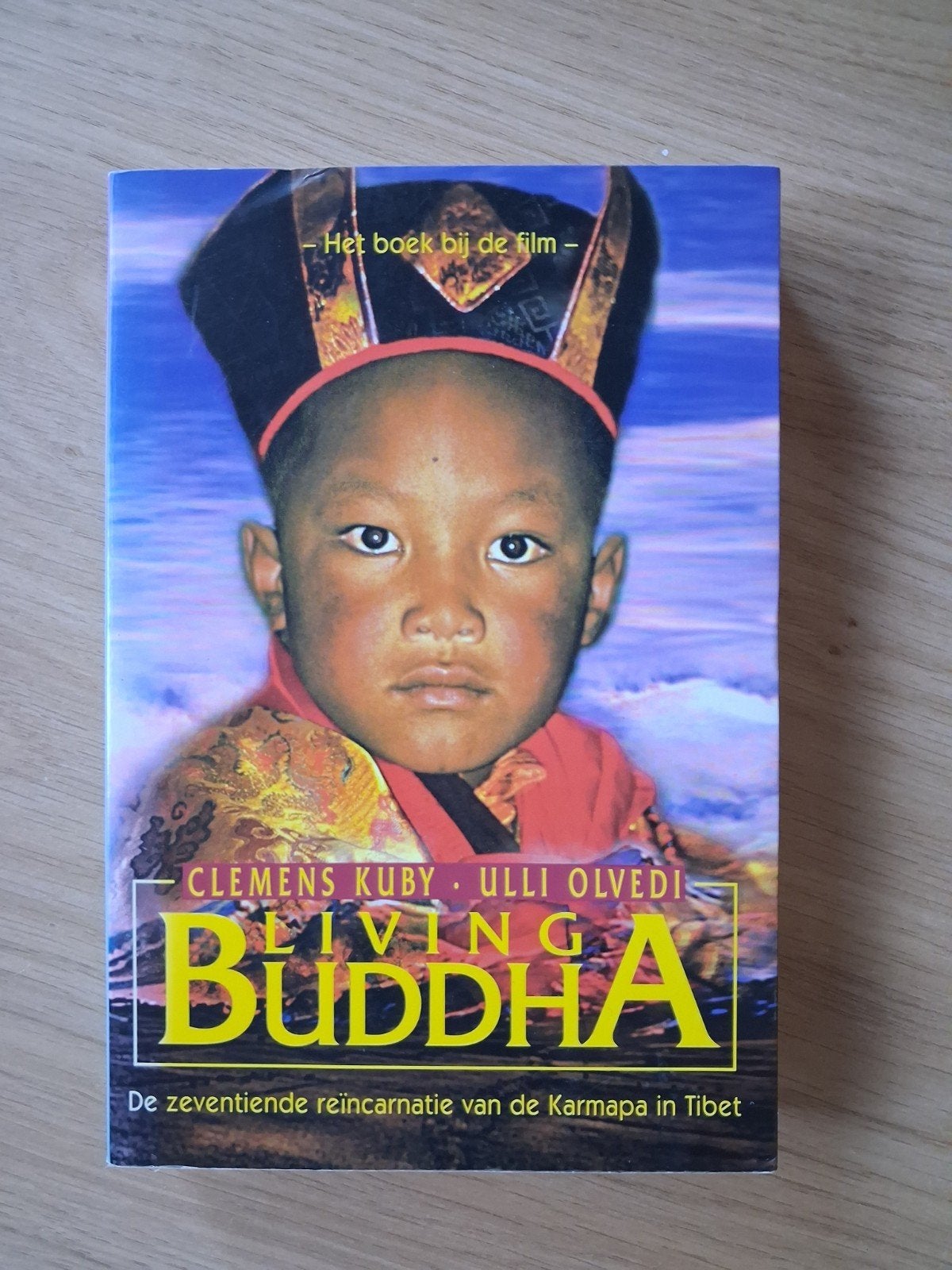Living Buddha: De zeventiende reïncarnatie van de Karmapa, Ophalen of Verzenden, Gelezen, Overige onderwerpen
