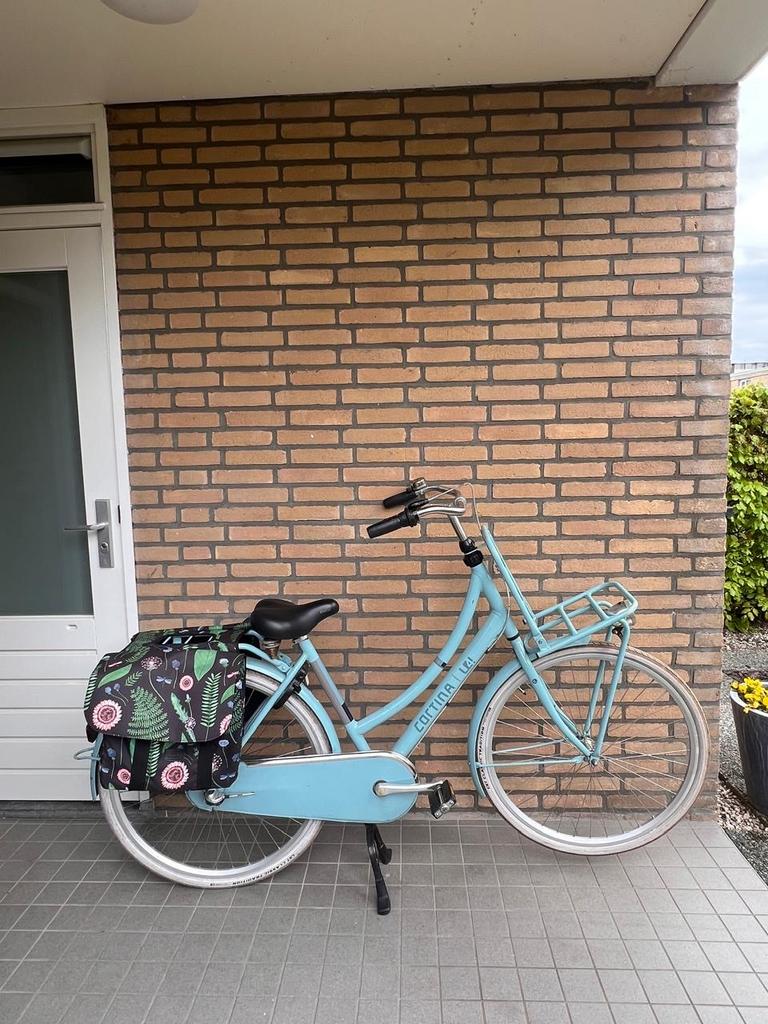 Nette Cortina damesfiets, Fietsen en Brommers, Fietsen | Dames | Damesfietsen, Gebruikt, Overige merken, 47 tot 50 cm, Velgrem