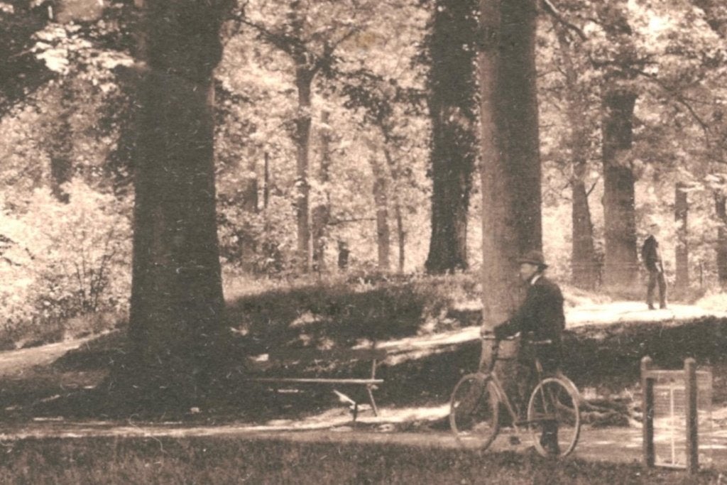 700101	Velsen	80+ NH Wandelpark Velserbeek	Jeneverhuisje, Ophalen of Verzenden, 1980 tot heden, Gelopen, Noord-Holland