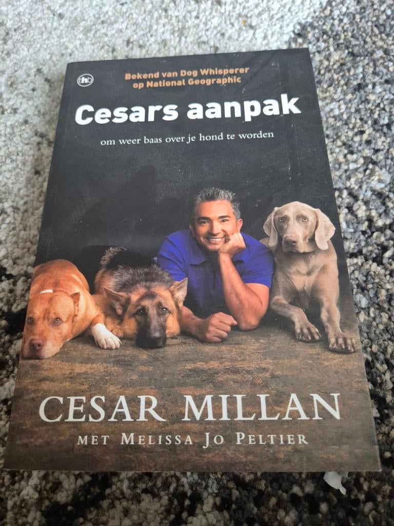 Cesar Millan - Cesars aanpak goede staat, Boeken, Dieren en Huisdieren, Honden, Zo goed als nieuw, Cesar Millan, Ophalen of Verzenden