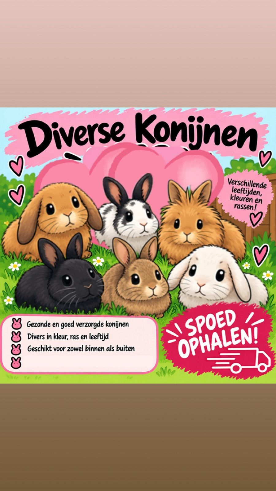 !SPOED! Konijnen zoeken huis!, Meerdere dieren