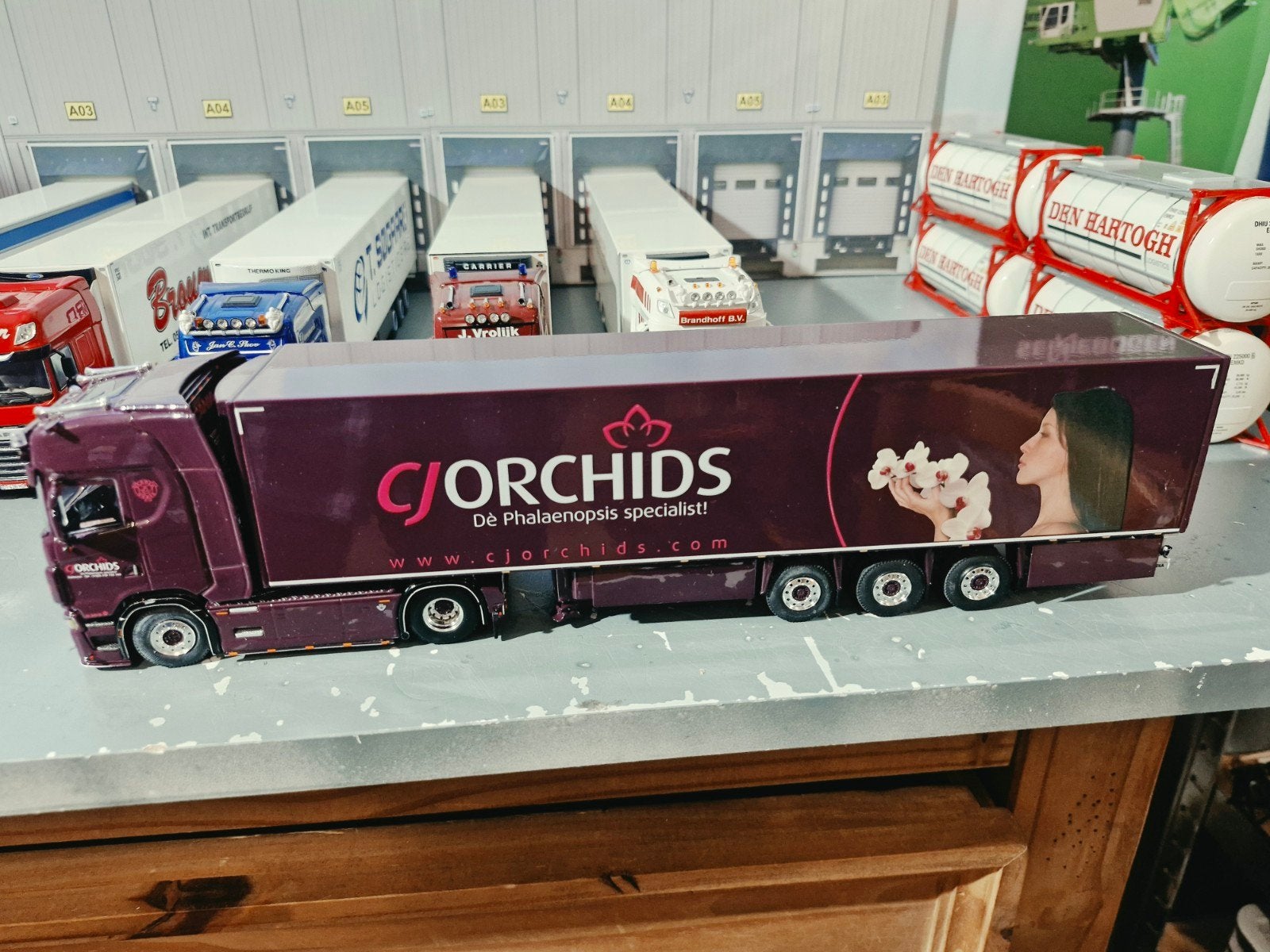 Scania met koeltrailer wsi van ORCHIDS GAMEREN, Ophalen of Verzenden, Zo goed als nieuw, Bus of Vrachtwagen, Wsi