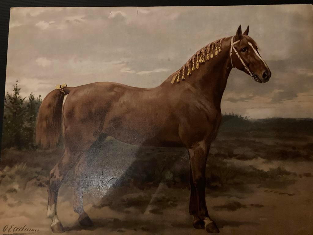 Plaat uit Paardenrassen Chromolitho het Gelderlandsche paard, Ophalen of Verzenden