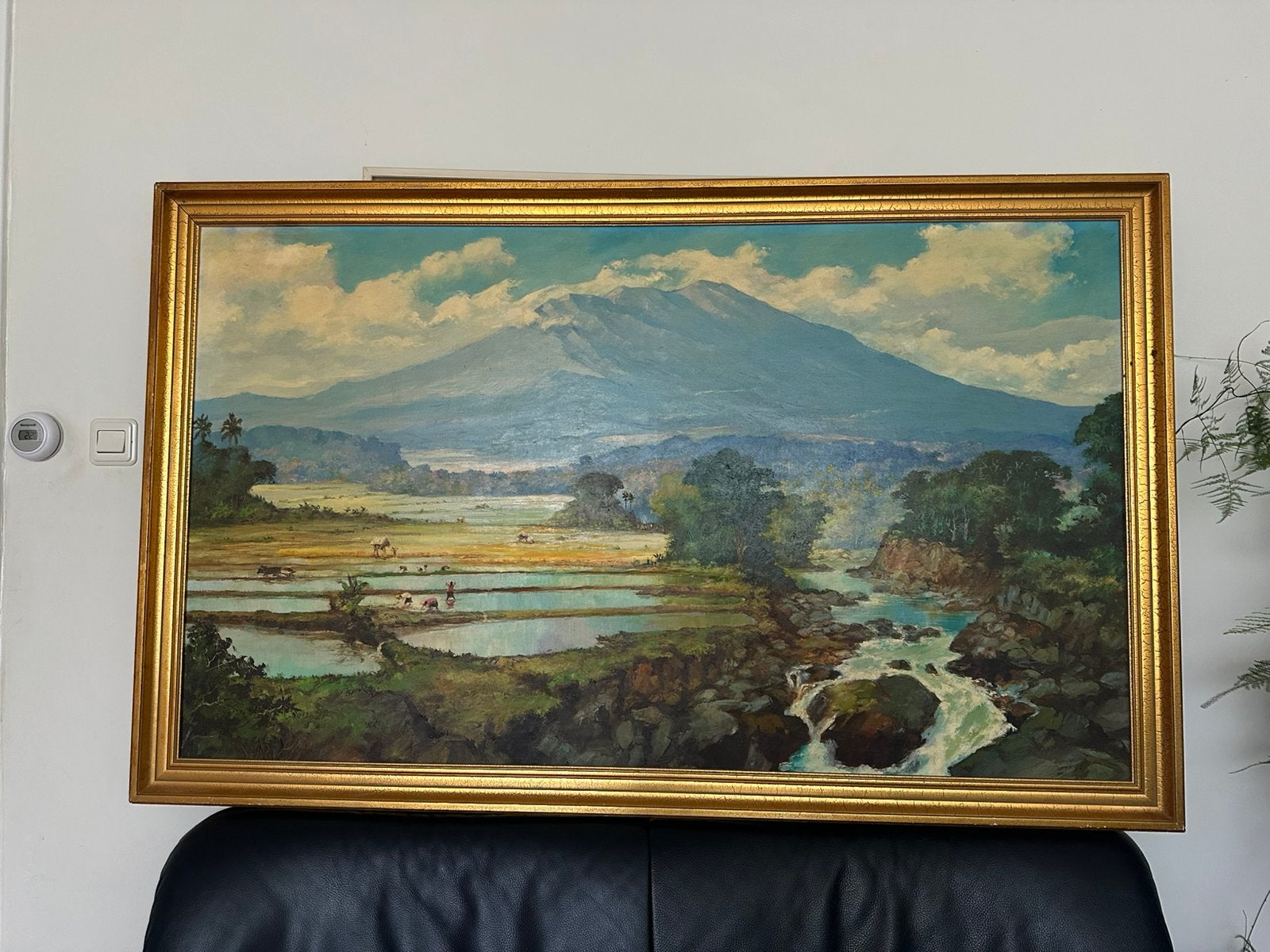 Sawa schilderij Indonesie, Ophalen
