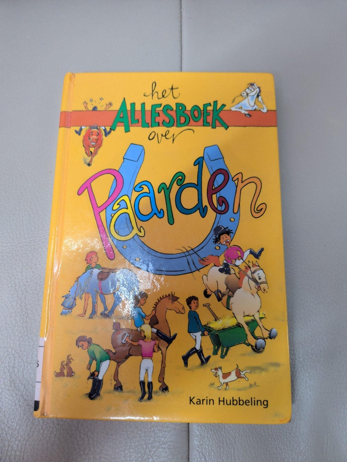 Het Allesboek over Paarden - Karin Hubbeling, Ophalen of Verzenden, Gelezen, Karin Hubbeling, Non-fictie