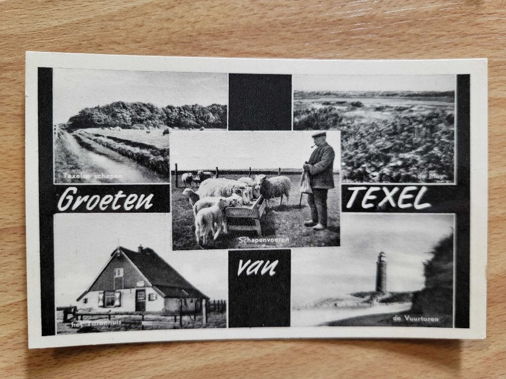 ansicht TEXEL Meerluik schapen, Ophalen of Verzenden, Voor 1920, Noord-Holland