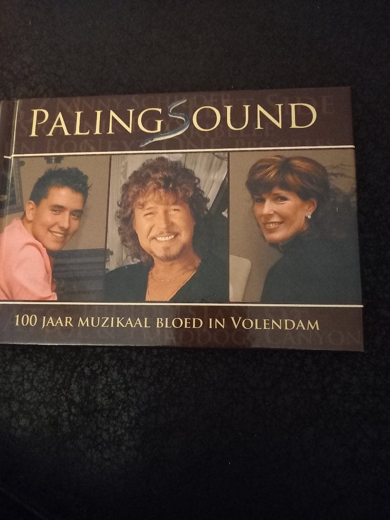 Boek: palingsound, Artiest, Nieuw, Ophalen of Verzenden, Dick de boer