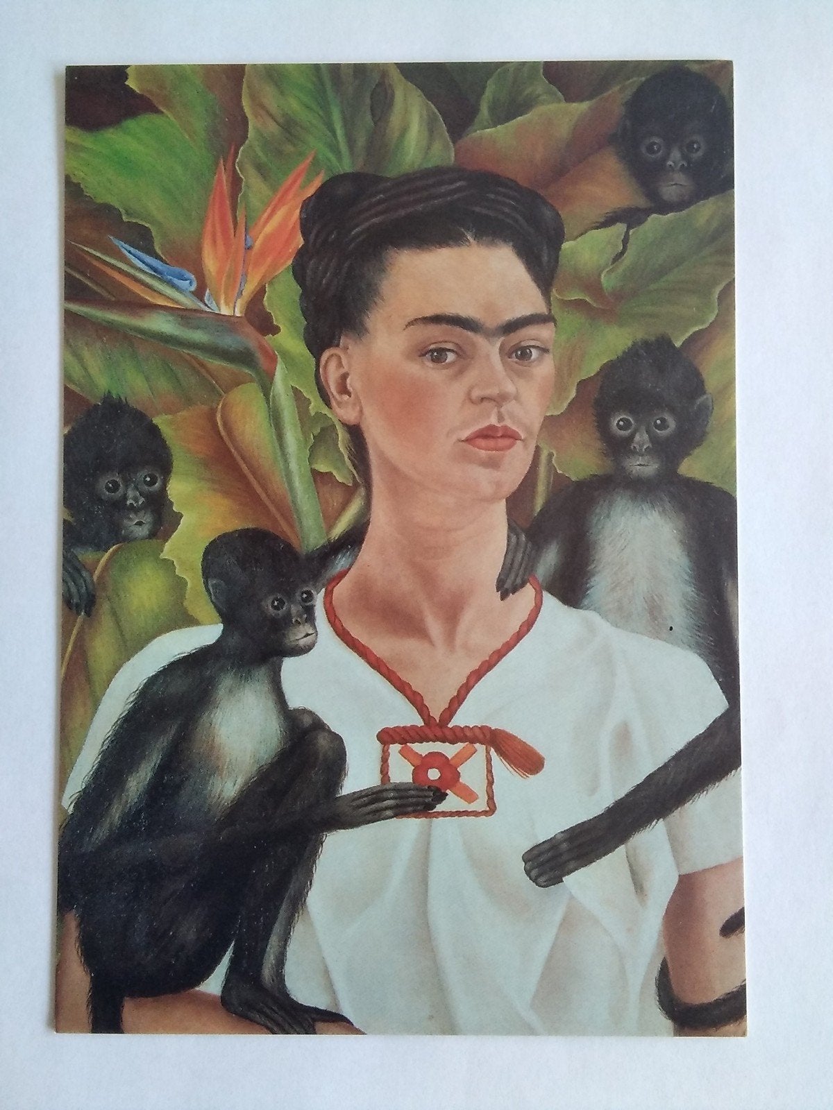 Ansichtkaart Frieda Kahlo Self-Portrait with Monkeys, Verzenden, 1980 tot heden, Overige thema's