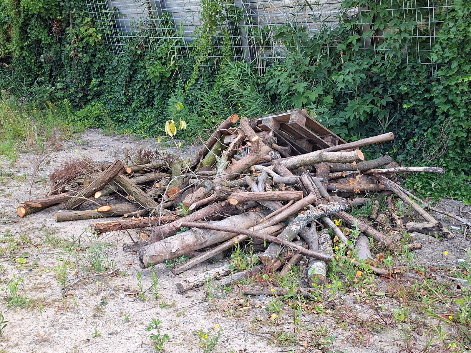 openhaardhout, Tuin en Terras, Haardhout, Minder dan 3 m³, Ophalen