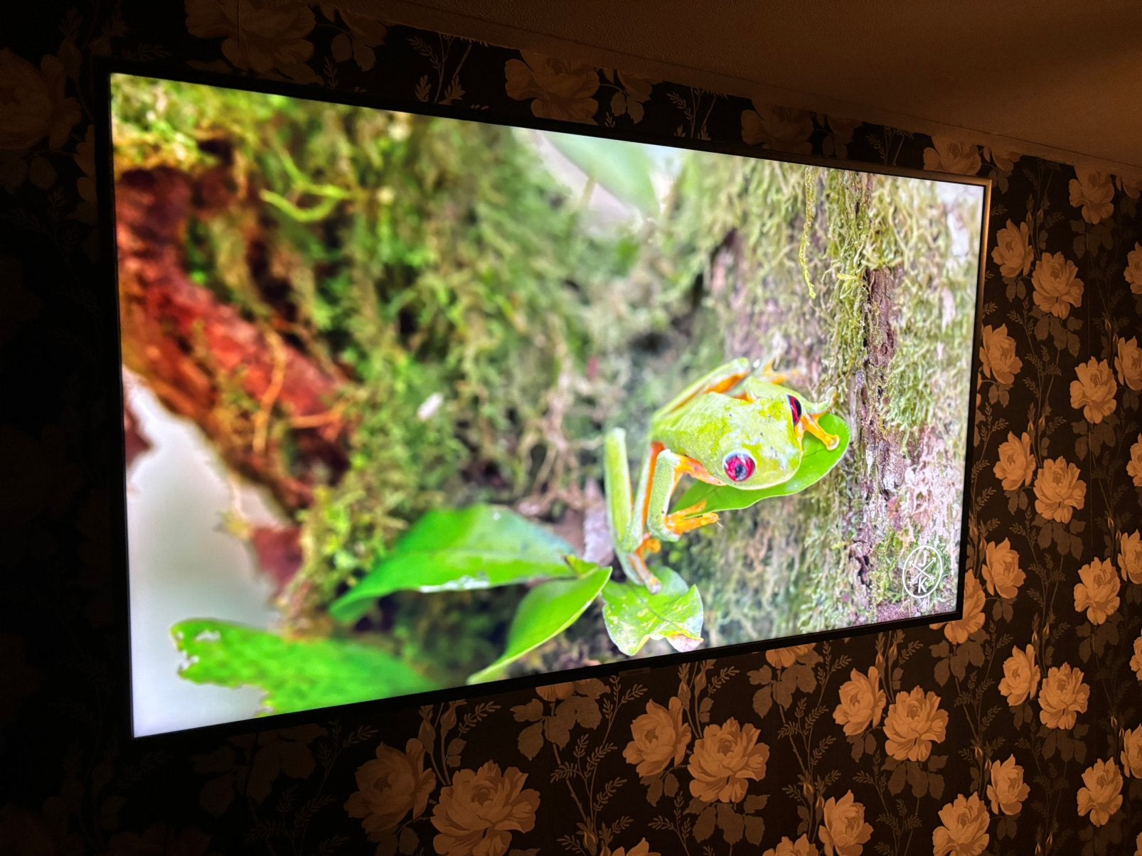Samsung Smart TV 49 Inch 4K UHD🤩, Audio, Tv en Foto, Televisies, Ophalen, 50 Hz, LCD, Zo goed als nieuw