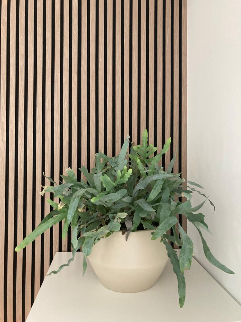 Wandpaneel nieuw!, Huis en Inrichting, Woonaccessoires | Wanddecoraties, Ophalen, Nieuw, 240 cm, Wandbord of Wandpaneel