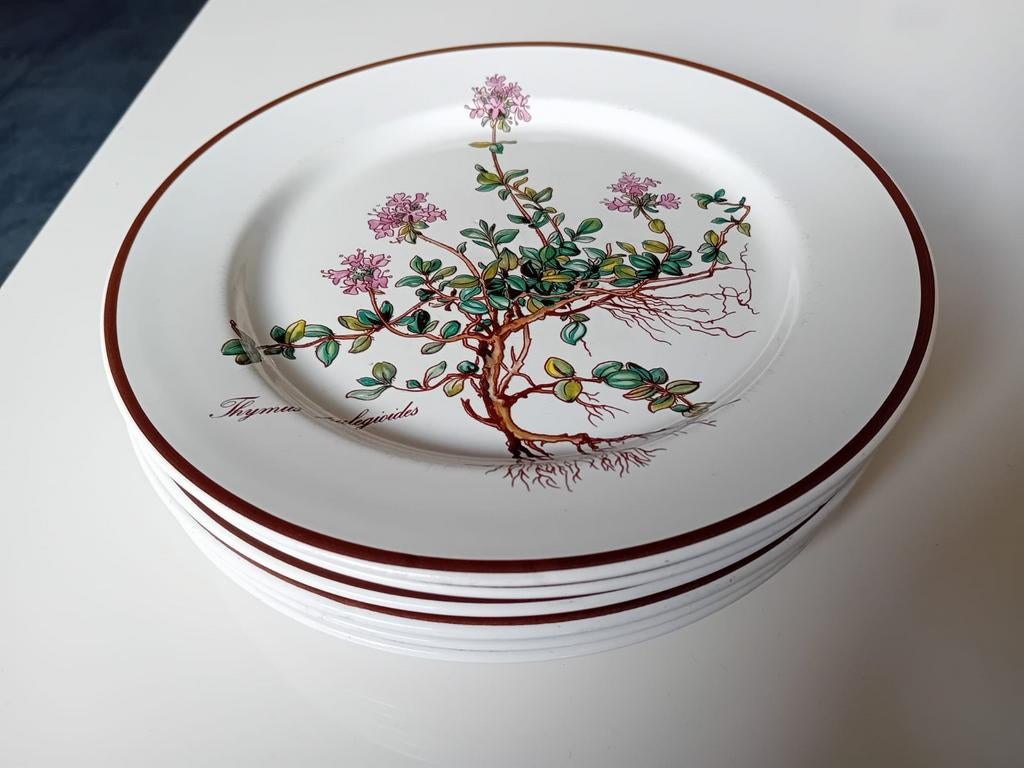7 prachtige ontbijtborden Villeroy & Boch Botanica., Ophalen of Verzenden, Porselein, Overige stijlen, Bord(en)