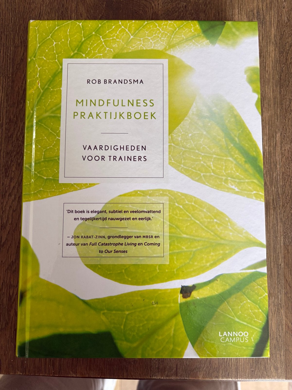 Mindfulness Praktijkboek - Rob Brandsma (Nieuw), Ophalen of Verzenden, Nieuw, Meditatie of Yoga, Instructieboek