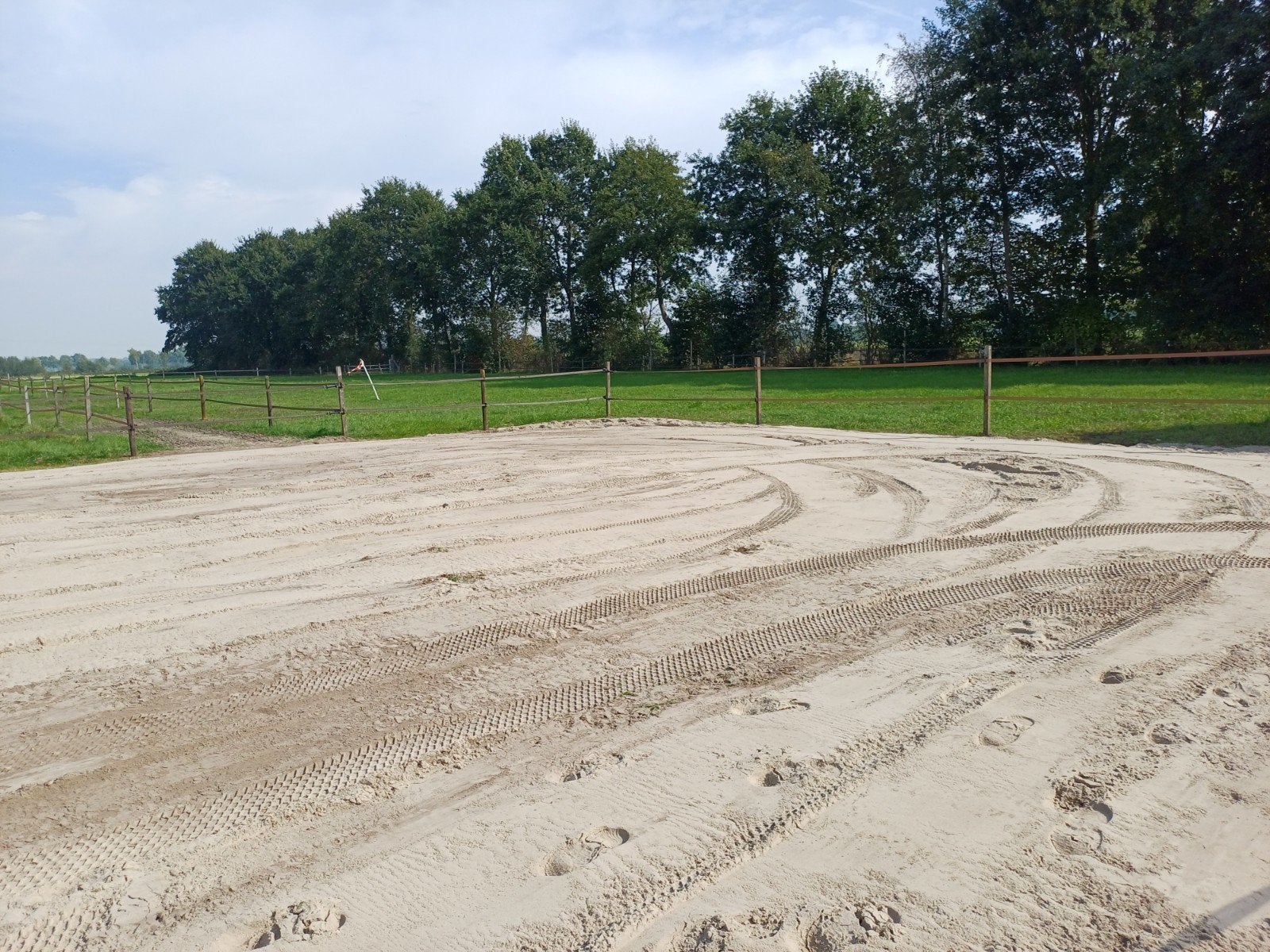 Paddock met schuilstal, onbeperkt hooi en weidegang, Weidegang