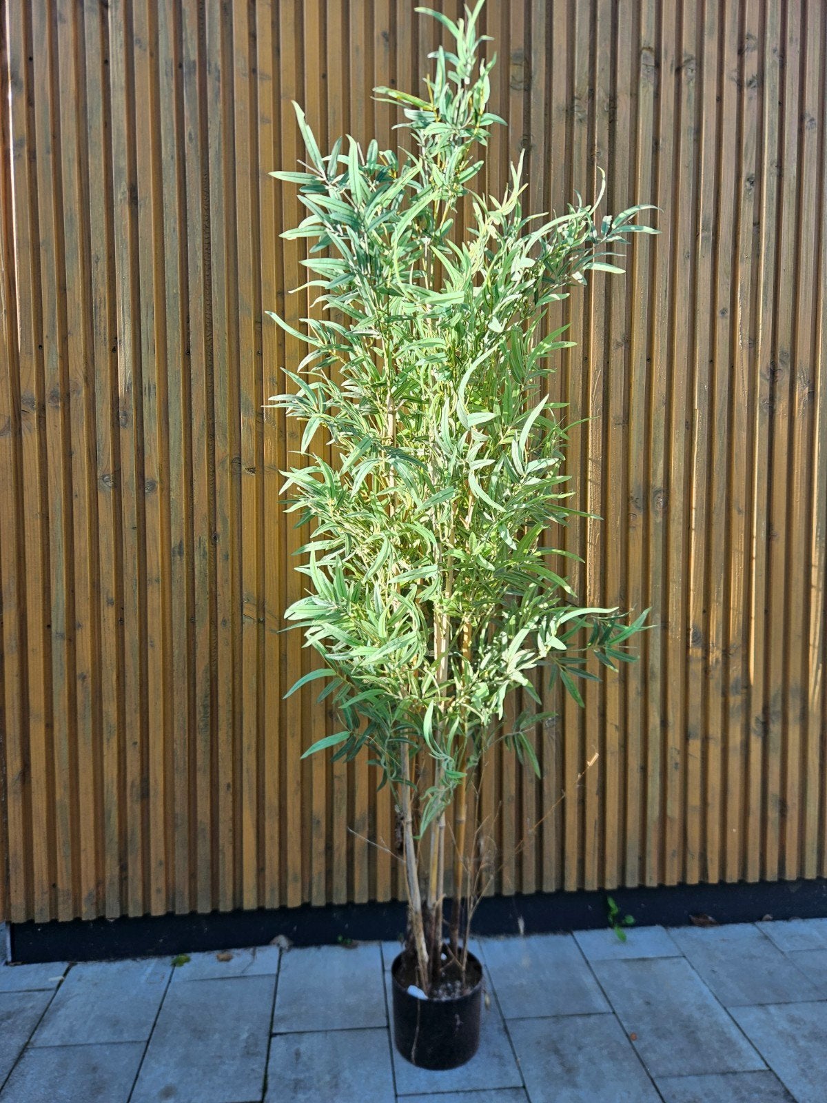 bamboe kunstplant, Overige soorten, Volle zon, Vaste plant, Ophalen of Verzenden