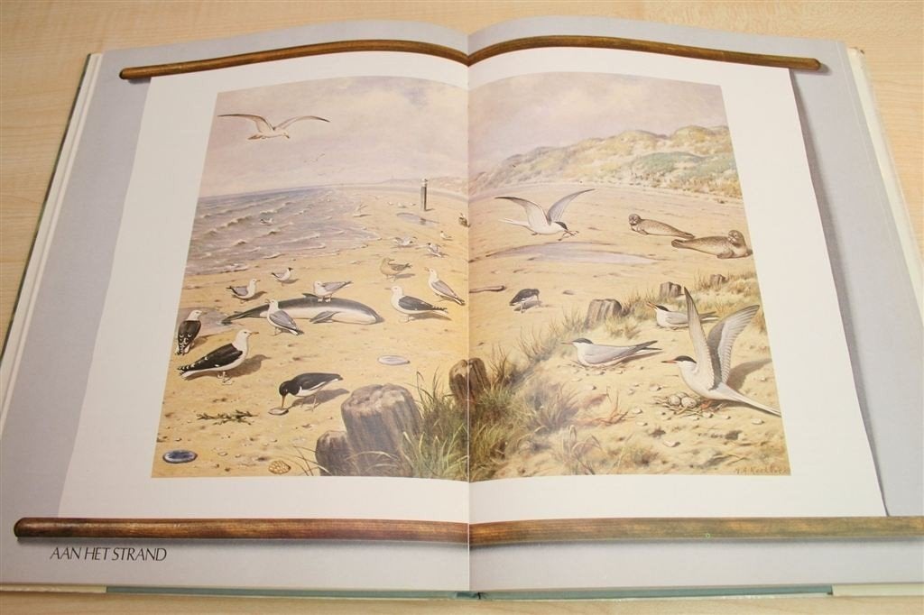 Wat Is Natuur Nog? — Koekkoek Wandplaten, Boeken, Ophalen of Verzenden, Gelezen, Overige onderwerpen