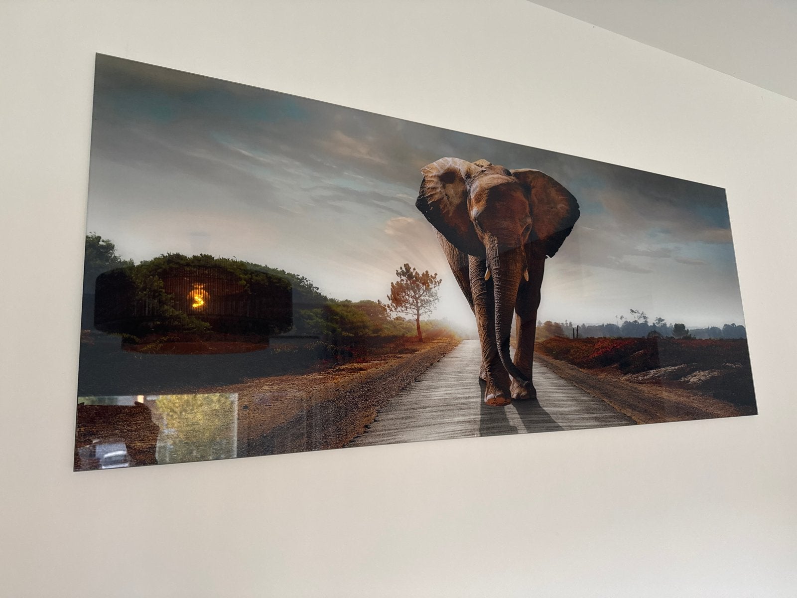 Groot schilderij olifant op weg plexiglas - 125x50 cm, Ophalen, 50 – 75, 125 cm of meer, Zo goed als nieuw