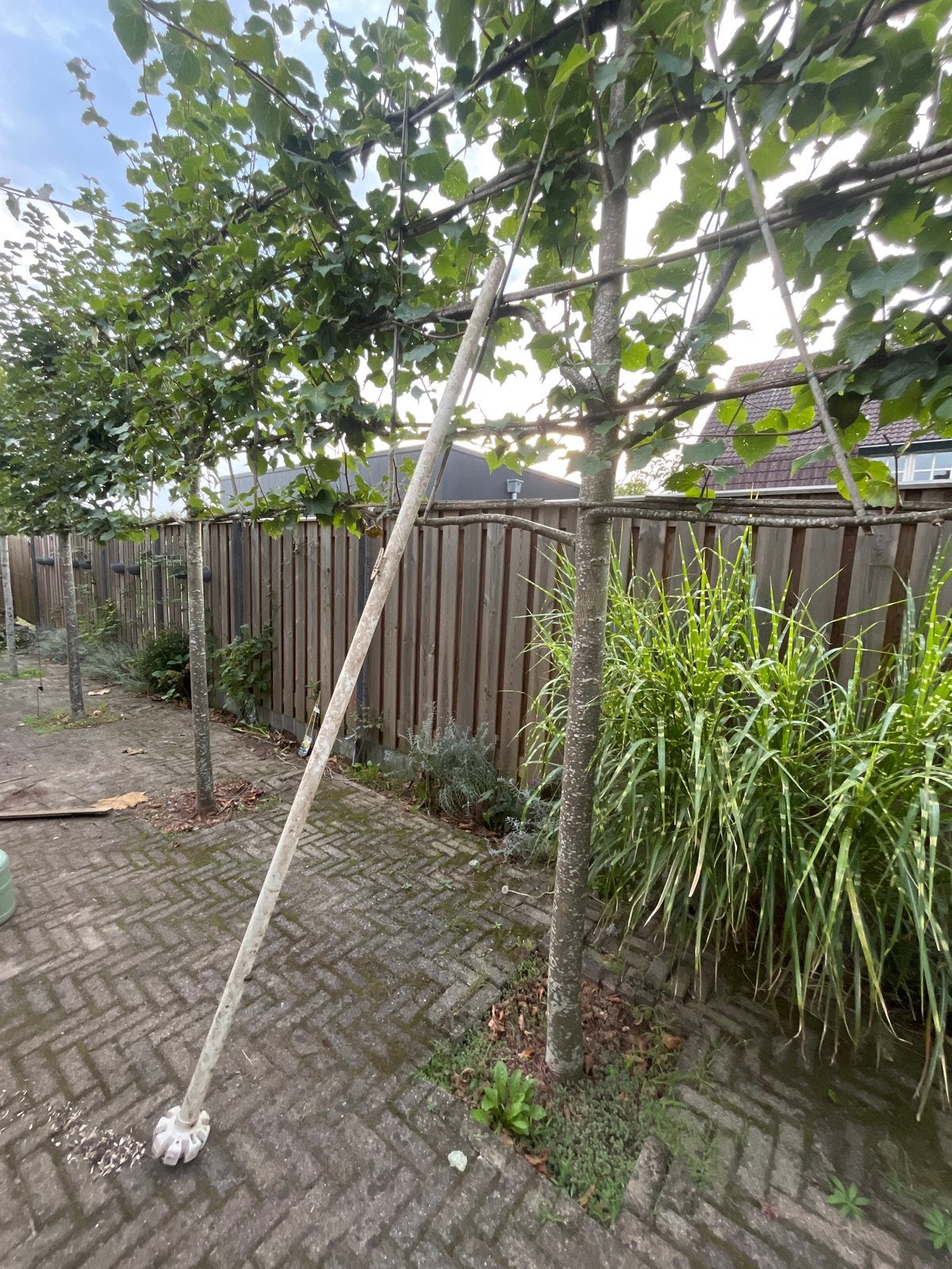 Gratis vlaggenstok vlaggenmast 3 meter, Ophalen