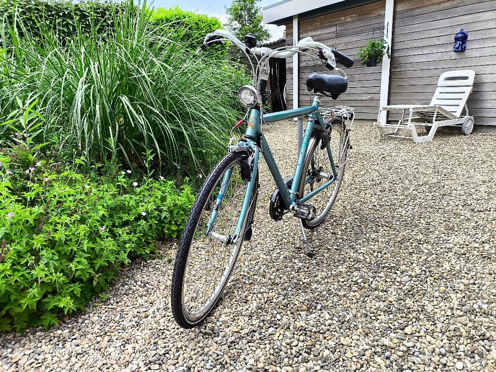 Raleigh herenfiets, Velgrem, Versnellingen, Ophalen, Overige merken