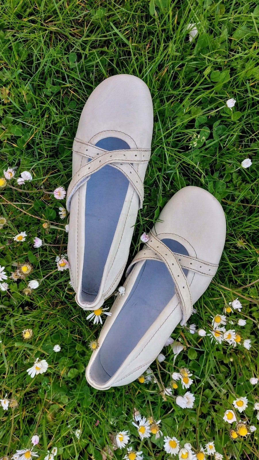Ecru/licht beige ballerina's WOLKY mt 38 (zonder inlegzolen), Wolky, Wit, Gedragen, Ballerina's
