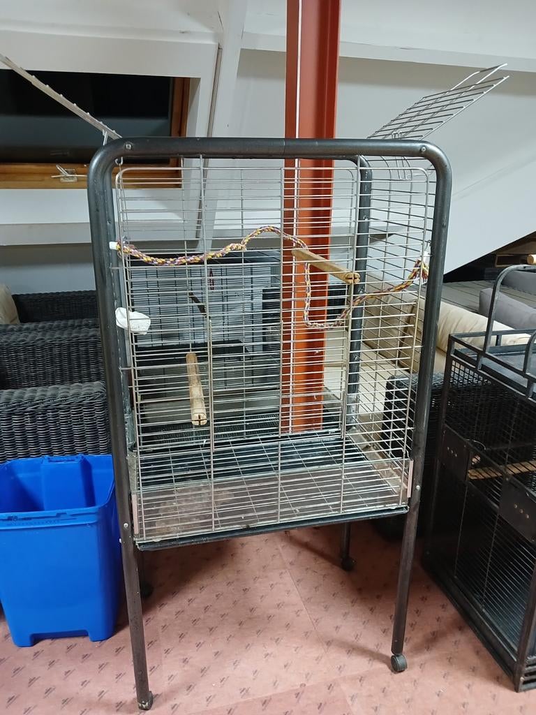 Papagaaienkooi papagaai  kooi, Ophalen, Zo goed als nieuw, Metaal, Vogelkooi