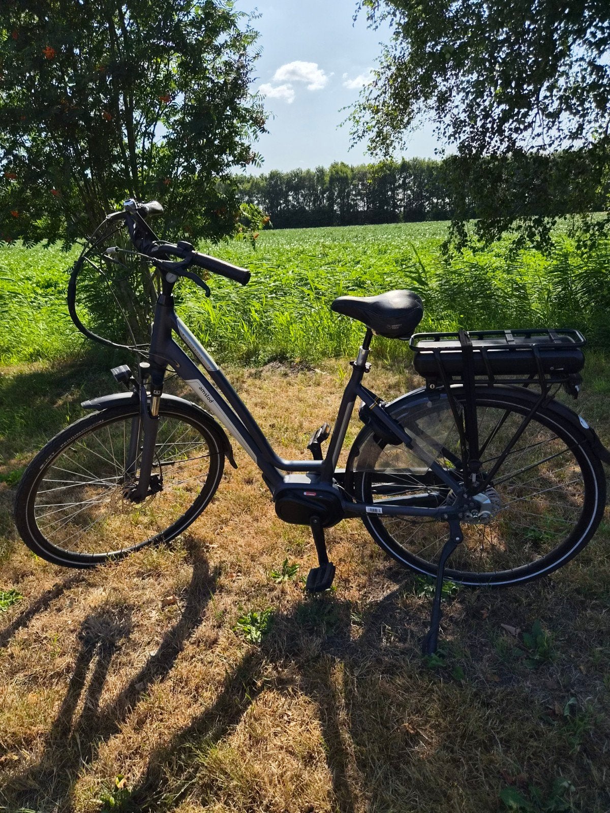 e-bike Amslod onderdelen, Ophalen, Frame, Gebruikt, Kunststof
