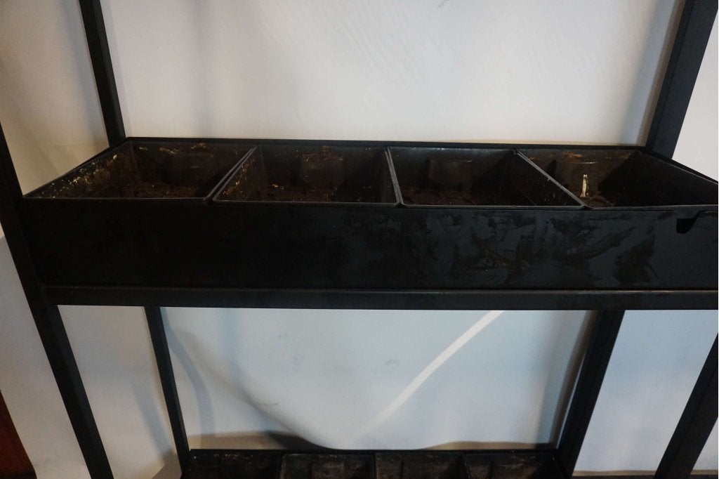 Plantenstelling stelling stellingkast, Niet ingevuld, Gebruikt, Niet ingevuld, Ophalen of Verzenden