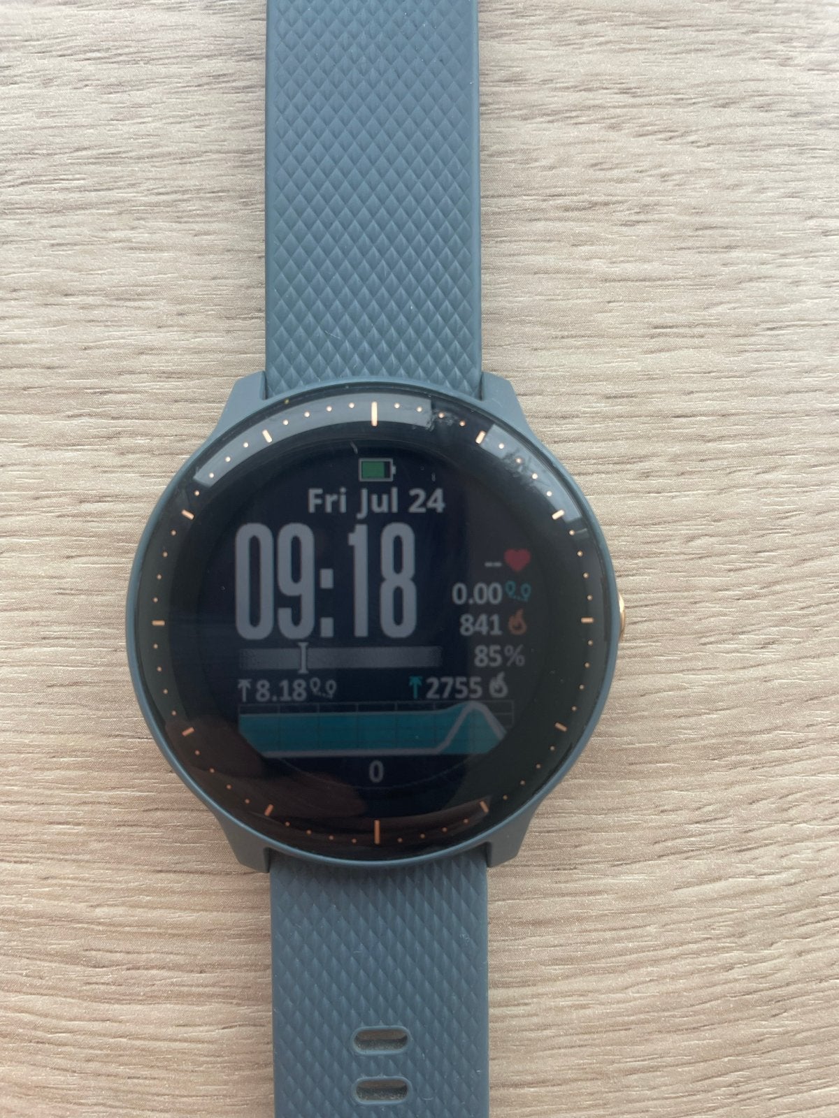 Garmin Vivo Active 3 met muziek (Music Edition) - Blauw/Goud, Ophalen, Blauw, Zo goed als nieuw, Waterdicht