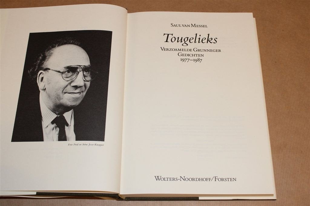 Tougelieks [1977-1987] — Groninger Dialect Gedichten, Ophalen of Verzenden, Gelezen