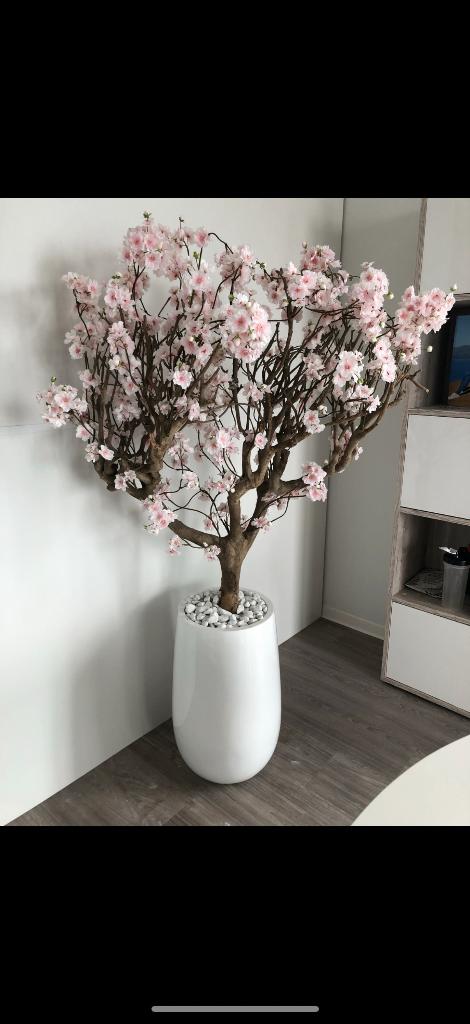 Bloesemboom incl.pot, Huis en Inrichting, Woonaccessoires | Kunstplanten en Kunstbloemen, Ophalen, 165 cm, Gebruikt, Roze