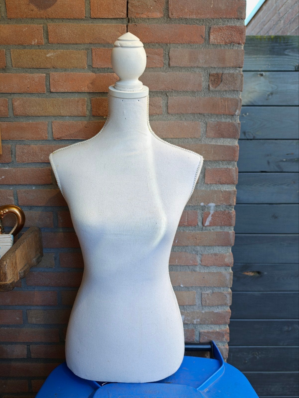 Vrouwelijke etalagepop - Bovenlichaam, Ophalen of Verzenden